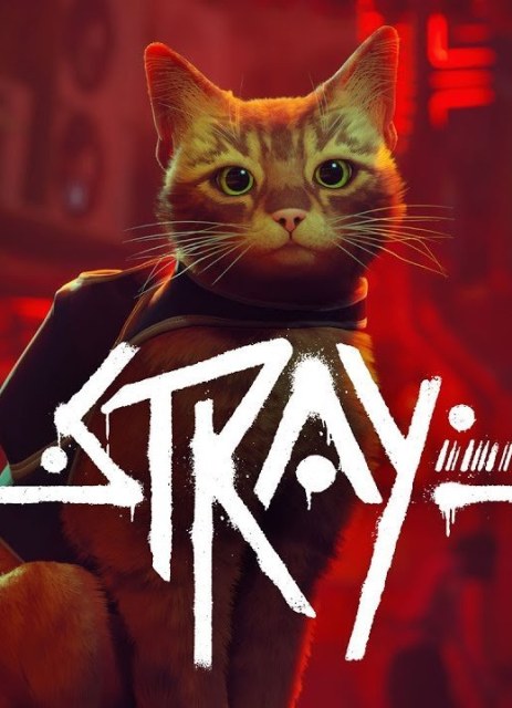 Stray