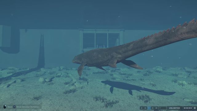 Feeding Mosasaurus