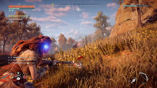 First Longleg Encounter