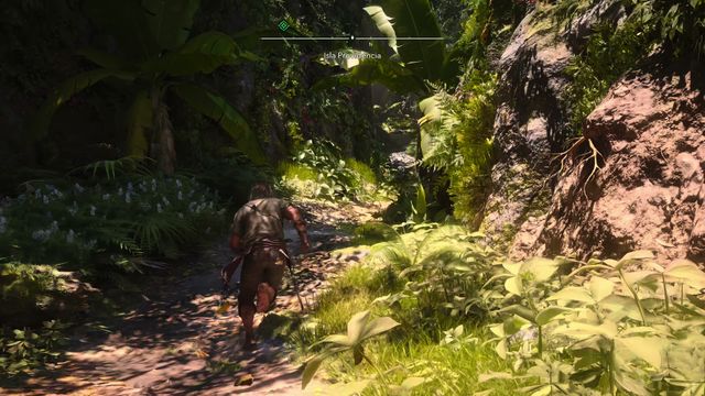 Vane Goes Crazy On Deserted Island