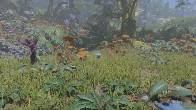 Just Running Around - From the Ashes (DLC)