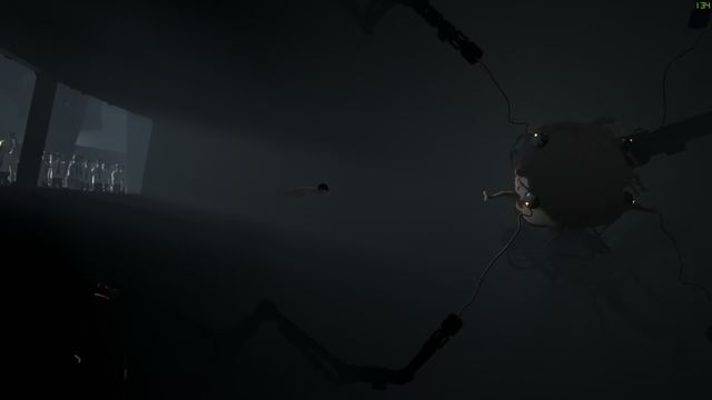 The Blob