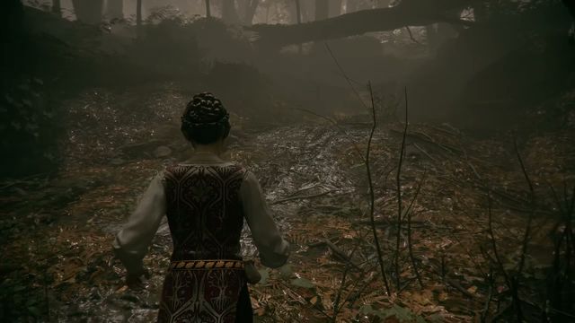 De Rune Family Dog Gets Dragged Under Ground