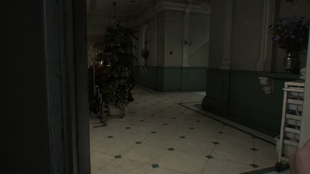 A Chunk Wandering In The Corridors