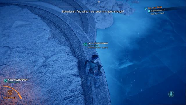Yevara Whales