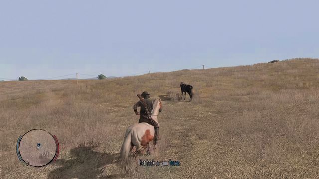 Capturing Wild Horses