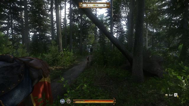 Ambush